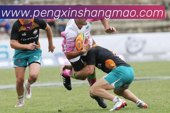 数据防护可视化