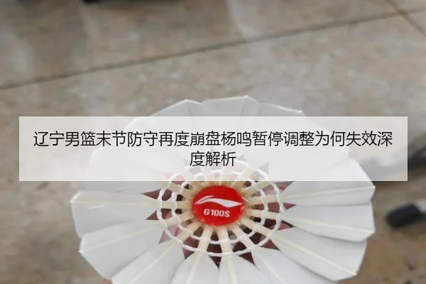 辽宁男篮末节防守再度崩盘杨鸣暂停调整为何失效深度解析