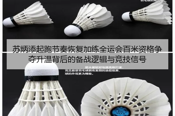 苏炳添起跑节奏恢复加练全运会百米资格争夺升温背后的备战逻辑与竞技信号